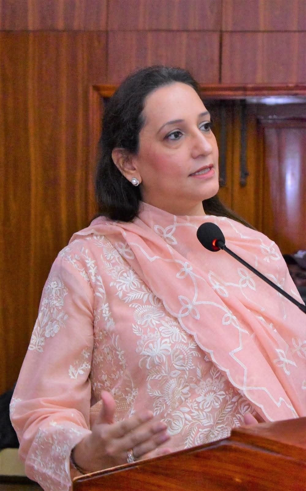 Speaker addressing GCUF breast cancer awareness symposium in Faisalabad