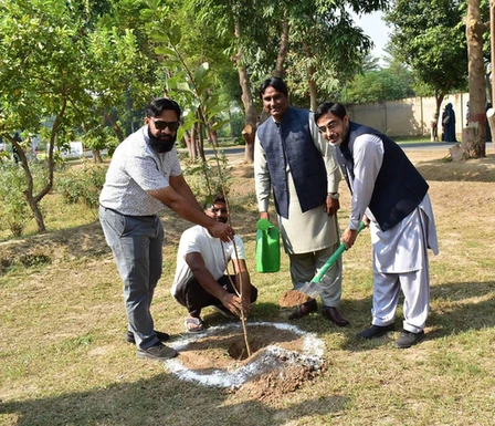 Participants during the plantation activity for World Sustainability Day at GCUF