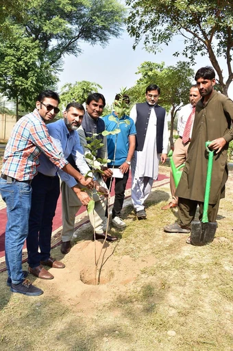 Participants during the plantation activity for World Sustainability Day at GCUF