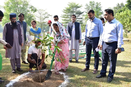 Participants during the plantation activity for World Sustainability Day at GCUF