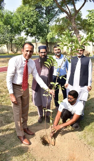 Participants during the plantation activity for World Sustainability Day at GCUF
