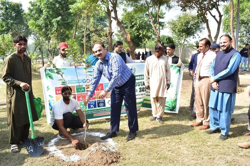 Participants during the plantation activity for World Sustainability Day at GCUF