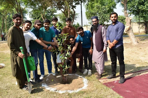 Participants during the plantation activity for World Sustainability Day at GCUF